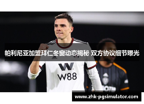 帕利尼亚加盟拜仁冬窗动态揭秘 双方协议细节曝光