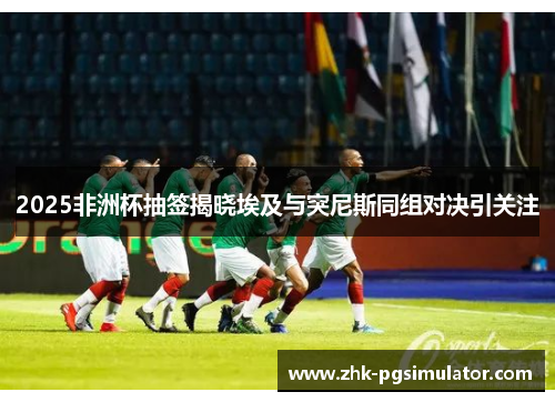 2025非洲杯抽签揭晓埃及与突尼斯同组对决引关注